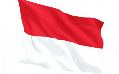 Menata Indonesia 2021